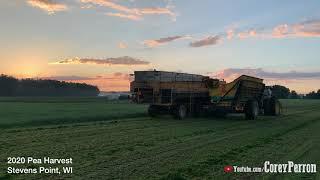 2020 Sweet Pea Harvesting in Central Wisconsin