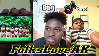 Best of FolksLoveAK Animal TikTok and Instagram Videos Compilation