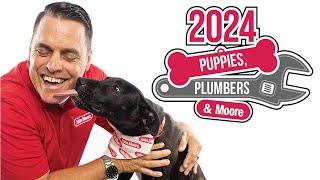 Puppies and Plumbers to Benefit Houston Pets Alive