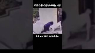 주짓수로 위기를 모면한 형님