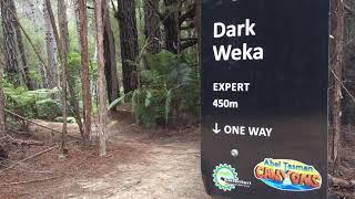 1 MINUTE OF SHREDDING DARK WEKA | KAITERITERI MTB PARK