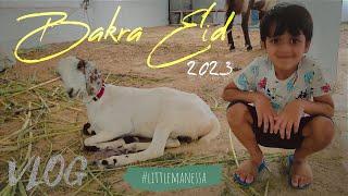 Bakra Eid 2023 - VLOG