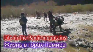 Life in the Pamir mountains|Жизнь в горах Памира