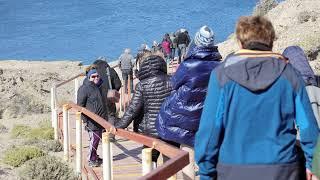 Tour Patagonia - Penisola di Valdes