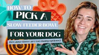 DOG ENRICHMENT: How to pick a slow feeder dog bowl