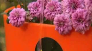 Greenbo Planters & Window box at DIY Network TV