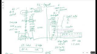 Basic Payroll Discussion - SAP HCM/ECP / EC / PEP / PCC (For better understanding watch full Video)