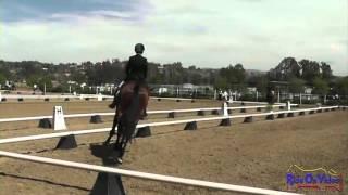 074D Brynn Littlehale Preliminary Rider Dressage Copper Meadows March 2013