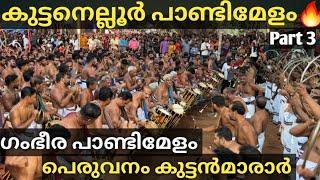 Kuttanellur Pandi Melam| Peruvanam Kuttan Marar  | Kuttanellur Pooram 2024 ( Part 3 )