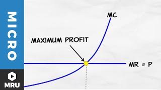 Maximizing Profit Under Competition