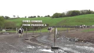 Lely Robots on greenfield site in County Mayo