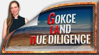 Gokce Land Due Diligence (GLAD) Program