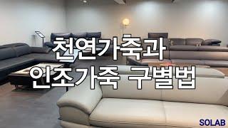 천연가죽 인조가죽 합성피혁 차이 & 구별 방법 (이것만 알면 가죽소파살때 걱정 끝!!!  )