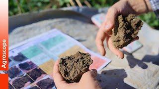 Visual Evaluation of Soil Structure - VESS method