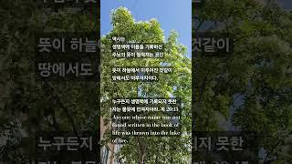 주님의 뜻대로
