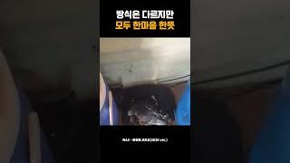 방식은 다르지만 모두 한마음 한뜻