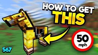 How To Breed Minecraft's FASTEST Horse (In New Update)