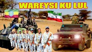 DEG DEG Ciidankii Liyuu oo Xasuuq geestay, Somalilnd & DDS oo Fooda is daray, Gurmadkii Ugu xooganaa