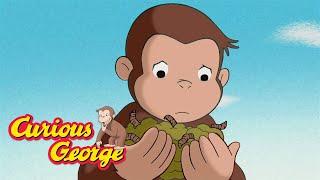 What Is Living In the Dirt?  Curious George  Kids Cartoon  Kids Movies