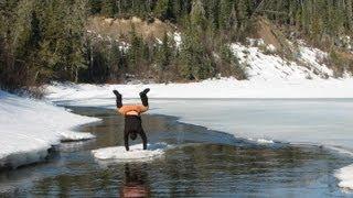 40 Day Snowshoe Expedition in Northern Ontario 2010