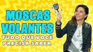 Moscas Volantes - Como Tratar Moscas Volantes