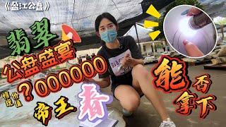 翡翠公盘盛宴!惊现价值？000000帝王春！能否拿下？！翡翠|原石