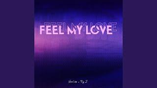 Feel My Love
