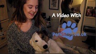 A Video With PetShop.co.uk| sponsored