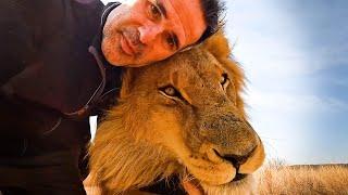 How is a Man BEST FRIENDS with LIONS? | The Lion Whisperer