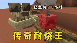 我的世界：傳奇耐燒王，犰狳，終於藏不住了嗎 #我的世界 #minecraft #mc