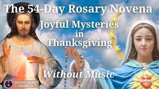 Joyful Mysteries in Thanksgiving Without Background Music - 54-Day Rosary Novena - Pray the Rosary