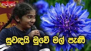 සුවඳයි මුවේ මල් පැණී - Suwandayi Muwe Mal Pani - Aruna.lk - Derana Aruna