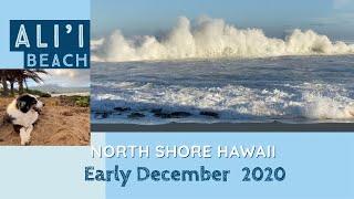 Winter Surf @ Ali'i Beach Haleiwa North Shore Oahu Hawaii. Big wave, Fun wave,Haleiwa local surfers