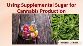 Using Supplemental Sugar for Cannabis Production