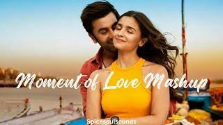 Moment of Love Mashup 2024 | Mind Relax Lofi Songs | Mind Relaxing Music | Lofi Mashup