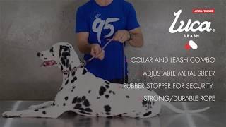 How to use a Collar Leash Combo - EzyDog Luca Leash