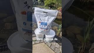 Wir freuen uns mega über Euer Vertrauen in GETEISA! #gartenteich #koi #garten #fische #pets #ponds