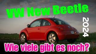 VW New Beetle | wie viele gibt es noch? | Bestand 2024