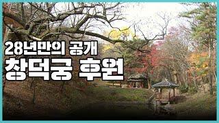 최초공개! 비밀의 문이 열린다. 28년만의 공개, 창덕궁 후원 속 숨겨진 생명들 I KBS 2005.01.01 방송