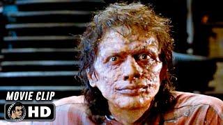 THE FLY Clip - "Offspring" (1986) Jeff Goldblum