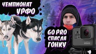 Как GO PRO спасла нам гонку на собачьих упряжках | Хаски дают бой 0+