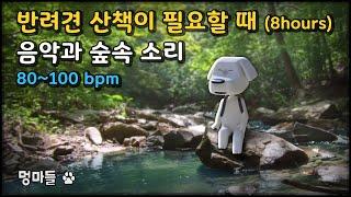 #멍마들  반려견 산책이 필요할 때~ | 강아지가 좋아하는 음악과 숲속 소리 - When you need a dog walk