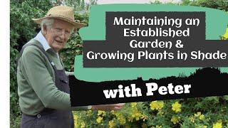 Maintaining an Established Garden & Growing Plants in Shade | Garden Ideas | Peter Seabrook