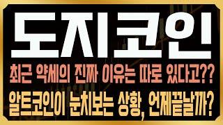[도지코인 코인전망] 최근 약세의 진짜 이유는 따로 있다? 지금이 최적의 매수 타이밍일까? #DOGE