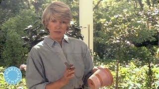 How to Paint Terracotta Pots -Throwback Thursday - Martha Stewart