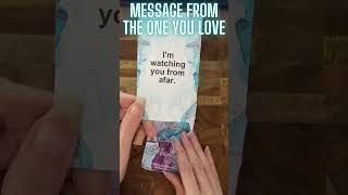 YOUR PERSON IS DYING TO TELL YOU THIS! 🩵 (COLLECTIVE LOVE READING)  #shorts #lovemessage #dmtodf