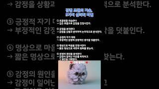 감정 조절의 기술, 5가지 심리적 마법   #인생조언 #삶의지혜 #침묵의힘 #자기관리 #인간관계 #비밀 #명언 #성장 #마음관리 #자기계발 #힐링 #감성 #위로 #치유 #감성쇼츠