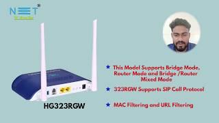 Netlink HG323RGW Dual Mode GPON ONT