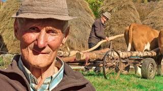 The Tough Life of 80-Year-Old Farmer in a Mountain Village.. Far From Civilization