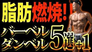 脂肪燃焼を高める胸トレ５選+１【筋トレ】家で出来る！